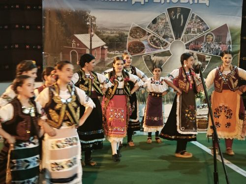 Godišnji koncert "Vrata Srema"
